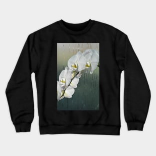 Winter Joy  at The Phipps Conservatory Pittsburgh Crewneck Sweatshirt